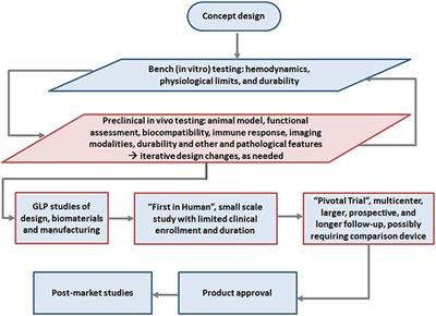 Preclinical Assessment of Cardiac Valve Substitutes: Current Status and Considerations for Engineered Tissue Heart Valves